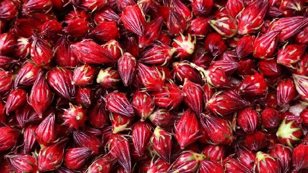 山楂玫瑰花茶能減肥嗎