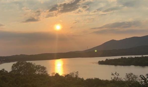 花果茶有什么功效