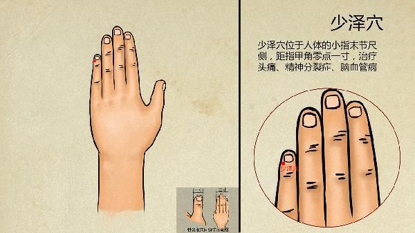 中醫(yī)治療房顫的妙方