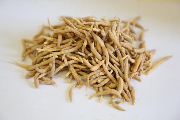 中醫(yī)治療房顫的妙方