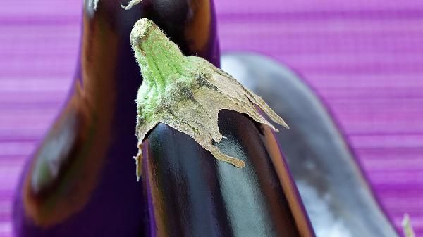 茄子皮有什么营养价值，可以吃吗