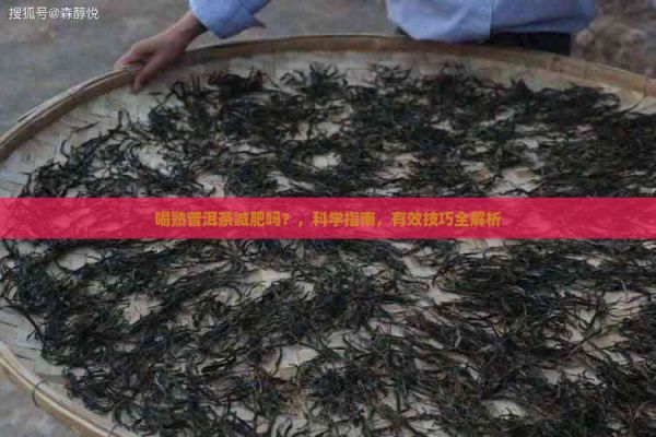 喝熟普洱茶减肥吗