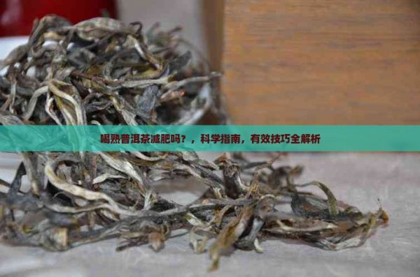 喝熟普洱茶减肥吗