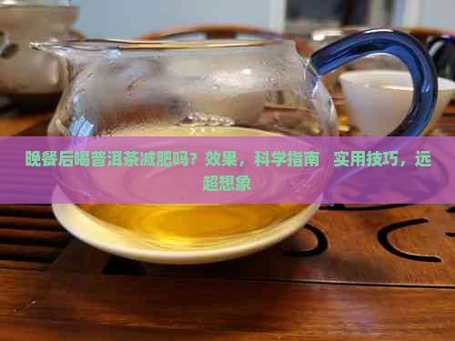 晚餐后喝普洱茶减肥吗吗