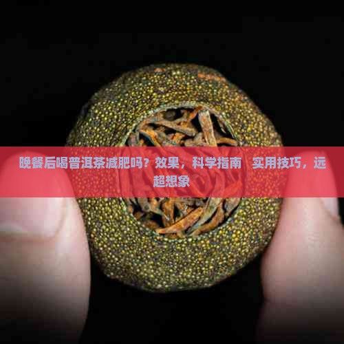 晚餐后喝普洱茶减肥吗吗