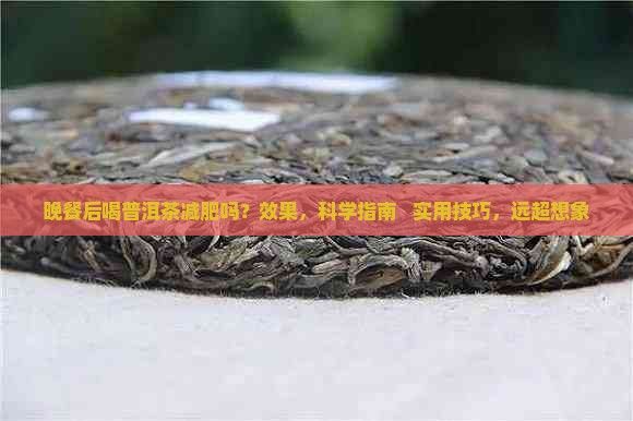 晚餐后喝普洱茶减肥吗吗