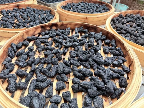 怀庆府道地熟地黄鲜品与炮制品对比图