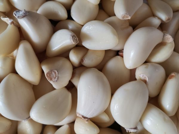 新鮮現(xiàn)剝蒜米特寫：晶瑩微潤的乳白色顆粒堆疊在竹制小碟中，表面泛著自然光澤，背景虛化呈現(xiàn)青翠蒜苗與木質(zhì)砧板，體現(xiàn)新鮮、天然、手作感