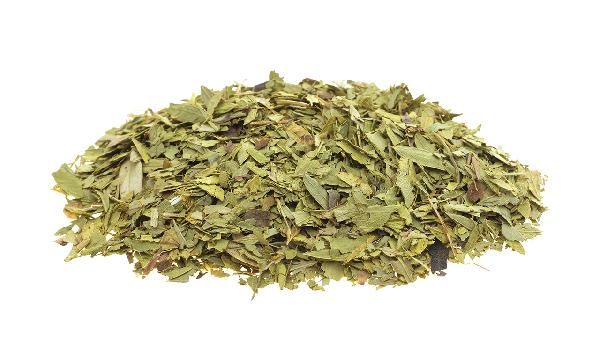 每天喝番瀉葉能減肥嗎