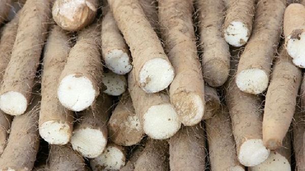 山药怎么吃减肥效果好呢 山药和什么搭配能够瘦身