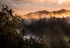 冬季晚餐吃什么好