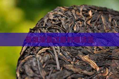 普洱茶最过瘾的喝法是