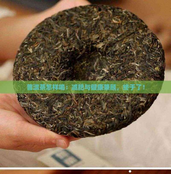 普洱茶怎样喝:减肥与健康兼顾,终于了!