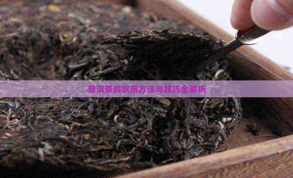 普洱茶的饮用方法与技巧全解析