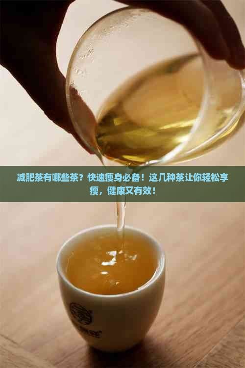 减肥茶有哪些茶