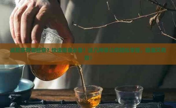 减肥茶有哪些茶