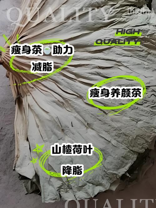 干荷叶和什么配最减肥