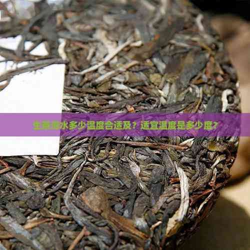 生茶泡水多少温度合适及?适宜温度是多少度?