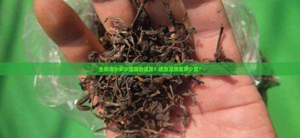 生茶泡水多少温度合适及?适宜温度是多少度?