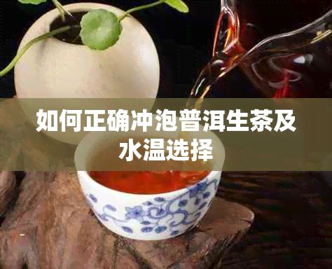 如何正确冲泡普洱生茶及水温选择