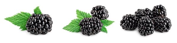 桑葚果酒多少度