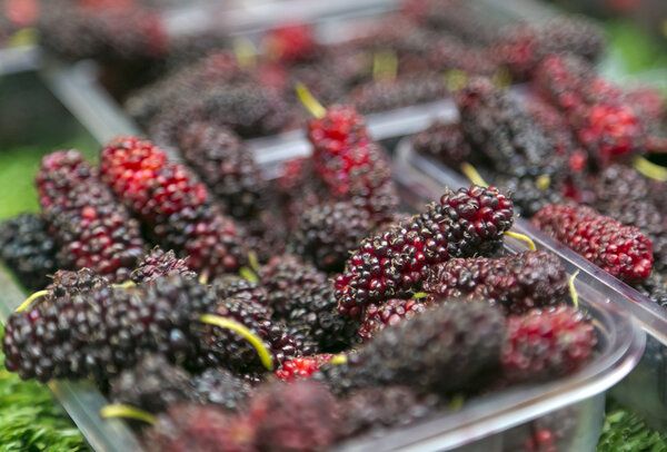 长期喝桑葚酒有什么危害