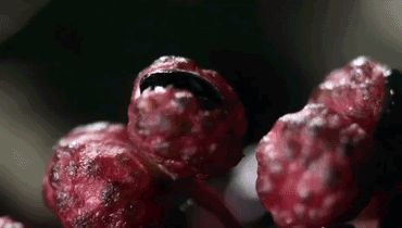 闲暇时饮一杯玉液琼浆！好惬意