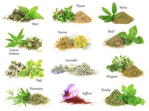 植物草本抑菌凝胶管用吗