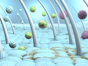 草本抑菌凝胶怎么样好用吗