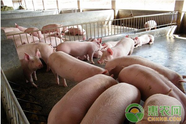 猪饲料中常用的微量添加剂种类和矿物质有哪些？-图片版权归惠农网所有