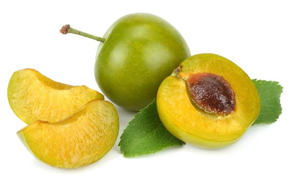 青梅酒用米酒还是高粱酒