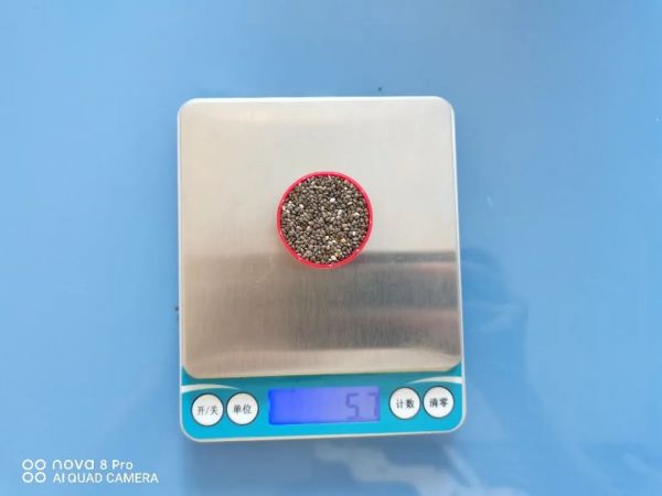 圖：1 礦泉水瓶蓋奇亞籽，約 6 克（自己拍的）