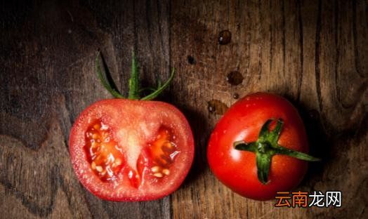 西红柿减肥法食谱