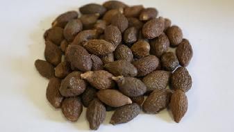 減肥挑戰(zhàn)10天瘦5斤 這些減肥方法可做到