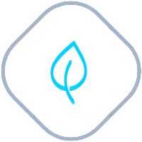 健康小妙招接口