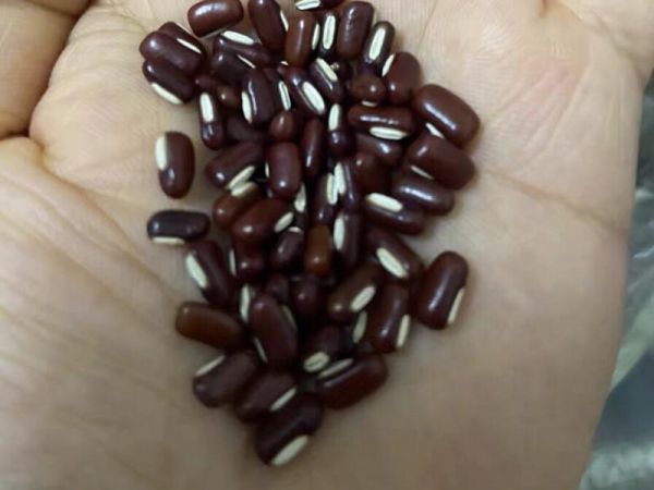 純奶手撕吐司的做法 步驟1