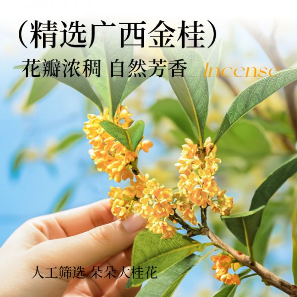 【md85.com蜂蜜57】醋加蜂蜜空腹喝了會傷胃嗎：展藝桂花蜂蜜原料糖漿0脂酒釀冰粉奶茶醬缽仔糕專用烘焙家用旗艦363