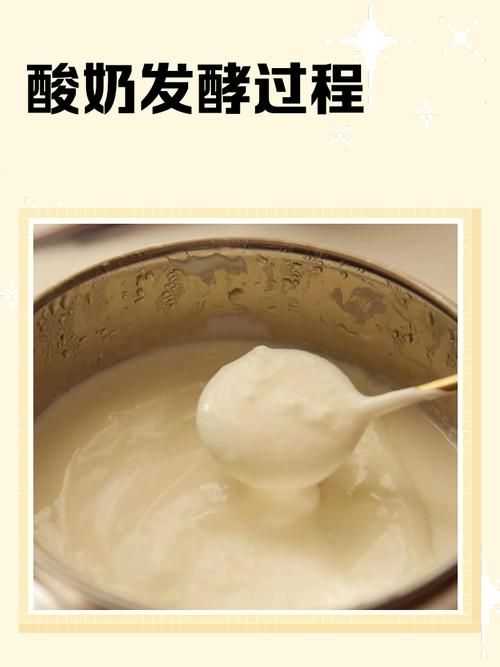 自制老酸奶應(yīng)該放多少煉乳 減肥期間可以這樣吃嗎