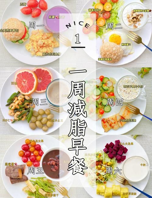 早餐吃什么好又能減肥