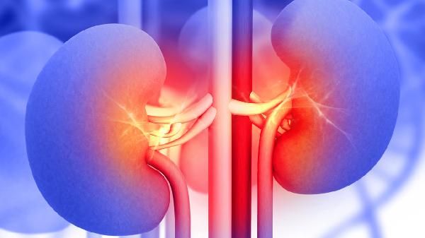 肾不好的人注意！这5种营养补对了，尿毒症风险直降