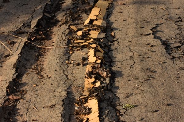 沙棘護(hù)膚品好用嗎
