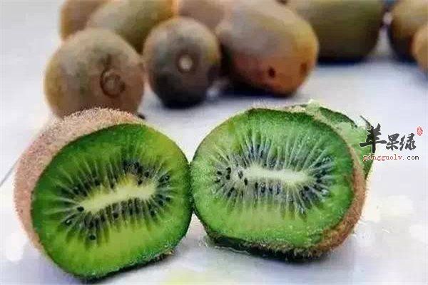 水果猕猴桃12.jpg