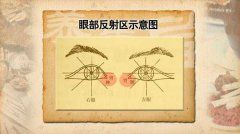 20110512养生堂视频:李志刚讲述调理亚健康