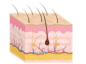 新生兒胎記和孕期飲食有關嗎？南京哪家醫(yī)院看胎記口碑好？