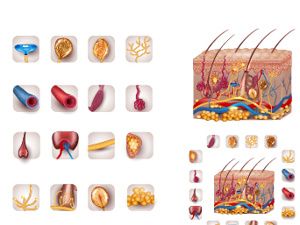 新生兒胎記和孕期飲食有關嗎？南京哪家醫(yī)院看胎記口碑好？