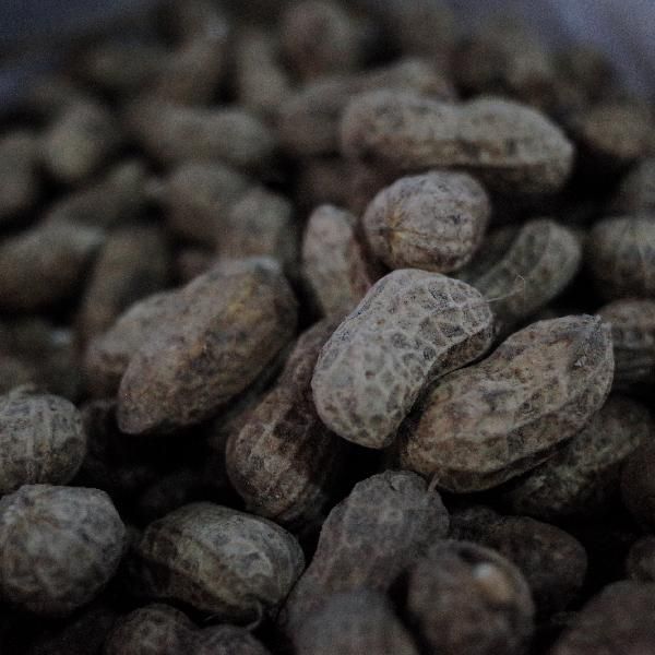 鍛煉后吃花生可以增肌嗎