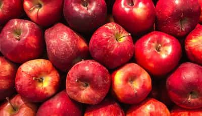 苹果的10个令人印象深刻的健康益处