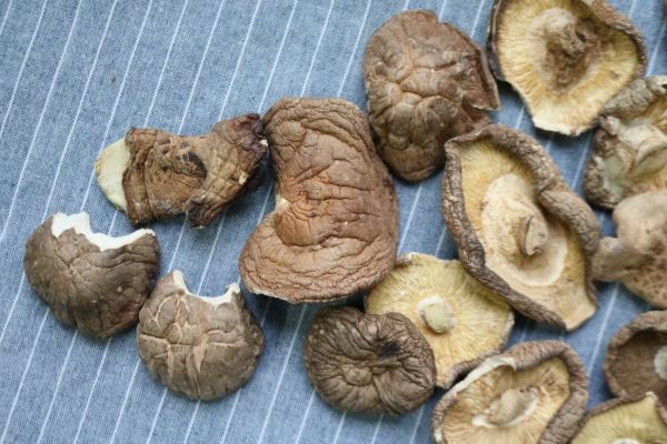 香菇与平菇干品特写对比图，左侧为深褐色伞盖厚实、菌褶紧密的干香菇，右侧为灰白色薄片状、边缘微卷的干平菇，两者并排置于竹制托盘上，背景为浅木纹台面