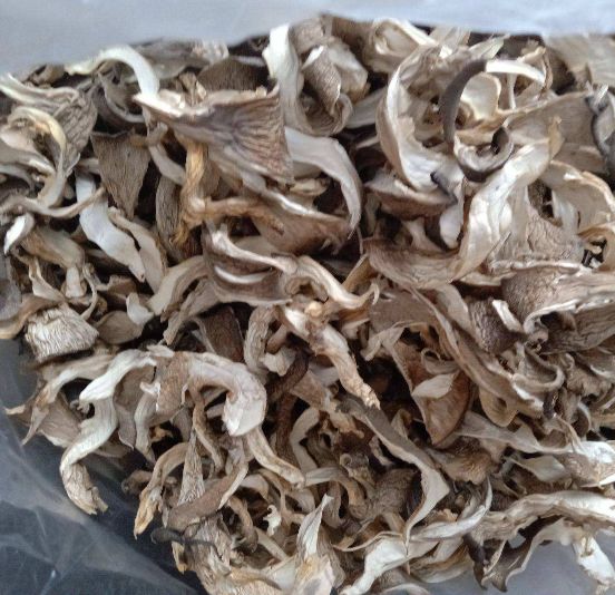 厨房实拍：左侧铁锅中香菇片煸至边缘微焦、散发琥珀色油光；右侧不粘锅内平菇片裹薄芡、泛珍珠光泽，两道菜分置青花瓷盘，背景虚化为中式灶台