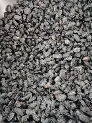 黑豆糖的做法 步骤5